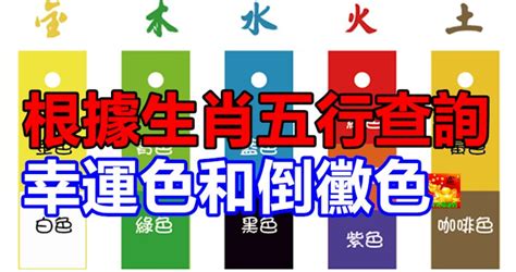 八字喜用色|根據生肖五行查詢幸運色和倒霉色